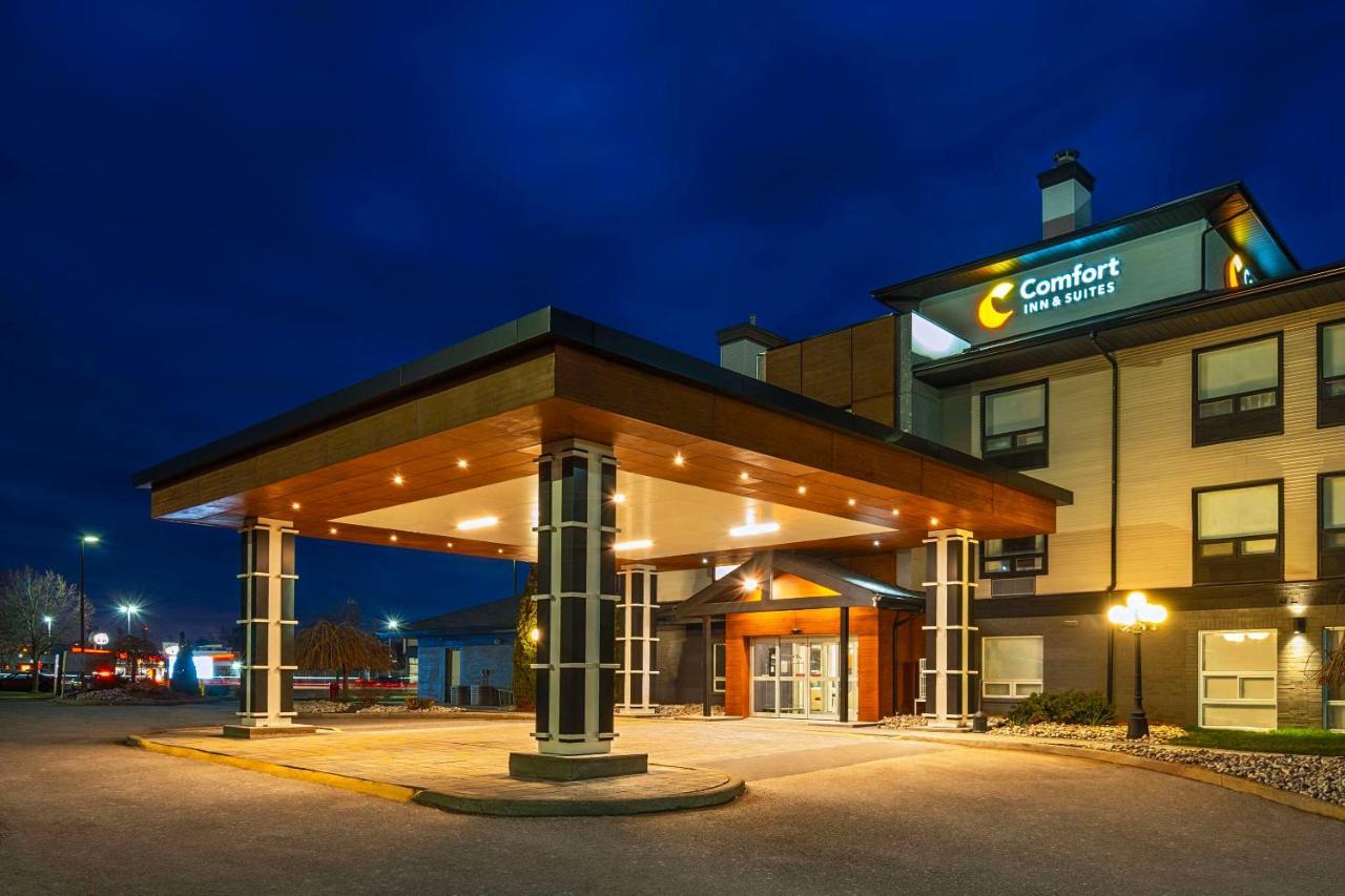 Comfort Inn&Suites Ingersoll Eksteriør bilde